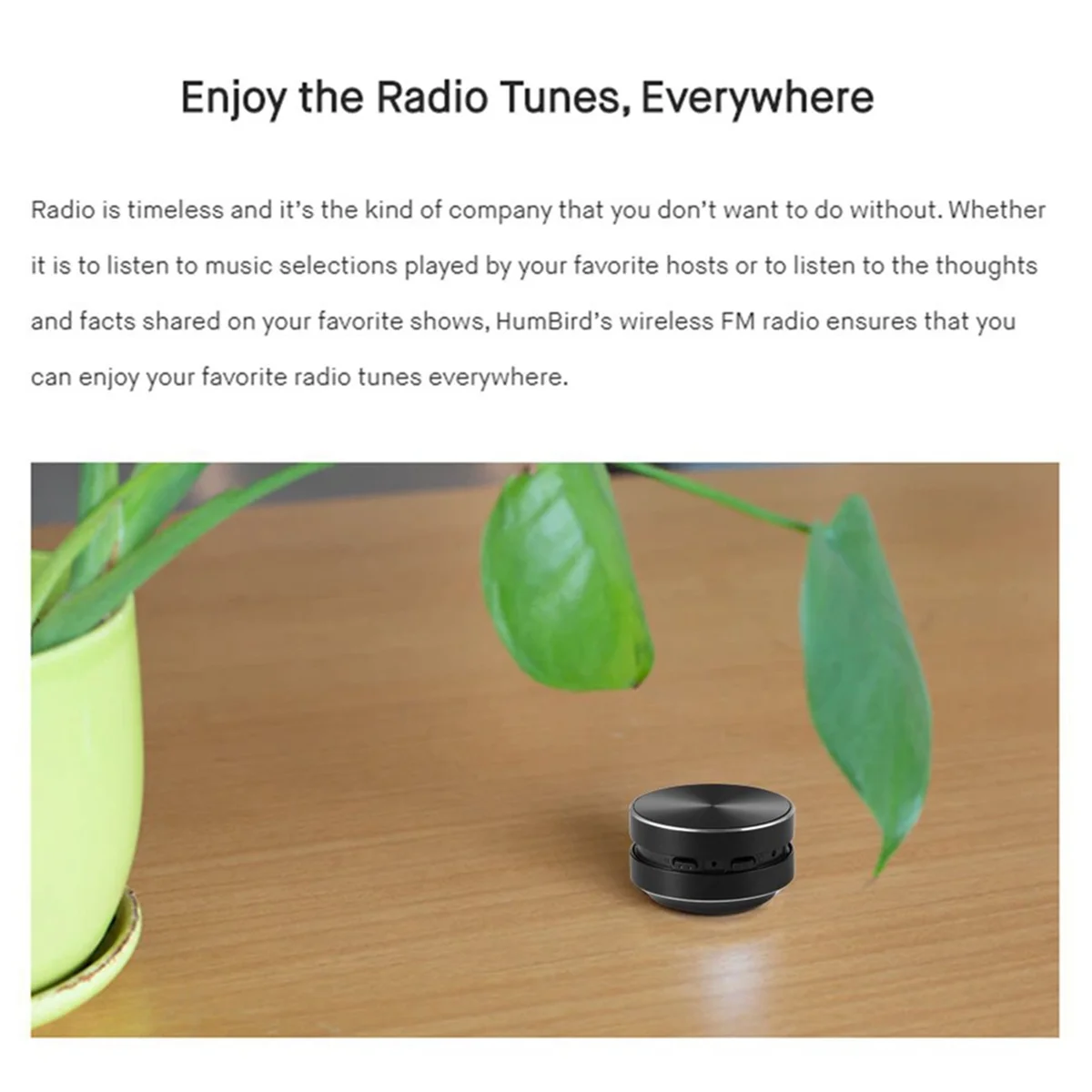 Porta Speaker